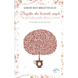 Bogatia din lucrurile simple. Un ghid zilnic pentru alinare si bucurie