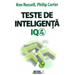 Teste de inteligenta IQ 4
