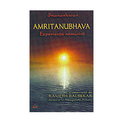 Amritanubhava. Experienta...