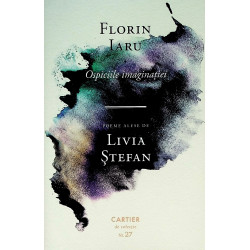 Ospiciile imaginatiei