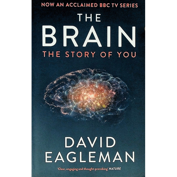 The Brain. The Story of You