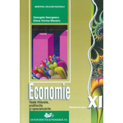Economie, clasa a XI-a