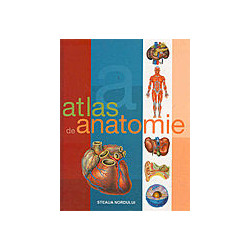 Atlas de anatomie