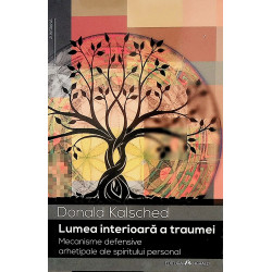 Lumea interioara a traumei