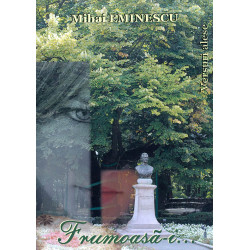 Frumoasa-i... Versuri alese