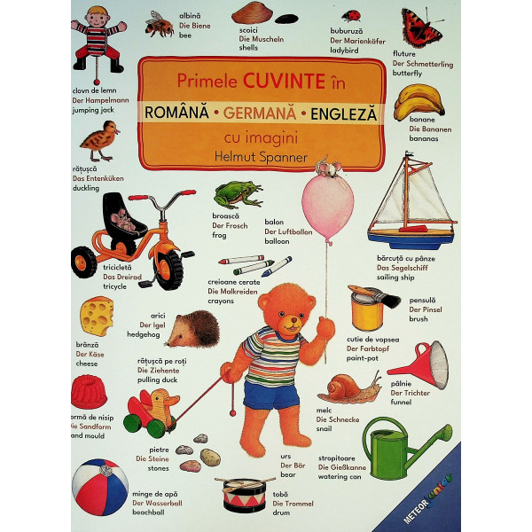 Primele cuvinte in romana-germana-engleza cu imagini