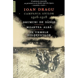 Campania anilor 1916-1918....