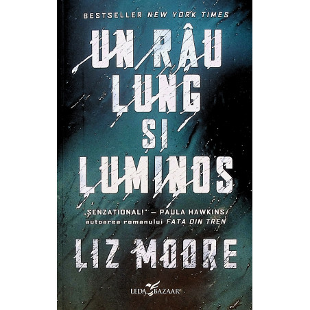 Un rau lung si luminos