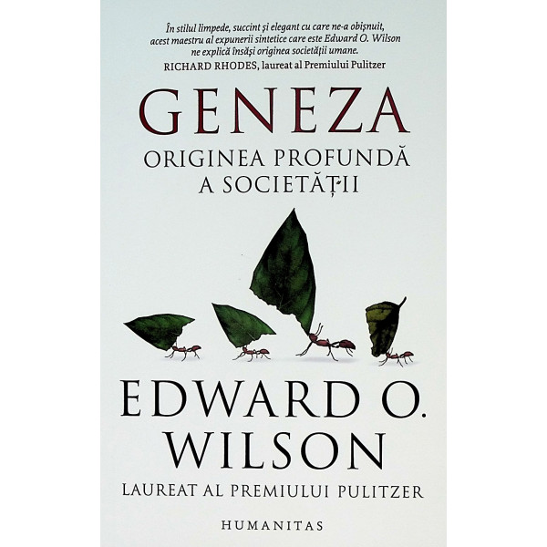 Geneza. Originea profunda a societatii