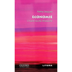 Economie - O foarte scurta introducere