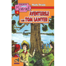 Aventurile lui Tom Sawyer