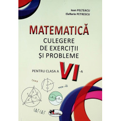 Matematica, clasa a VI-a -...