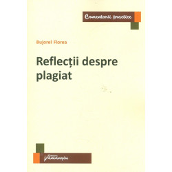 Reflectii despre plagiat
