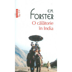 O calatorie in India