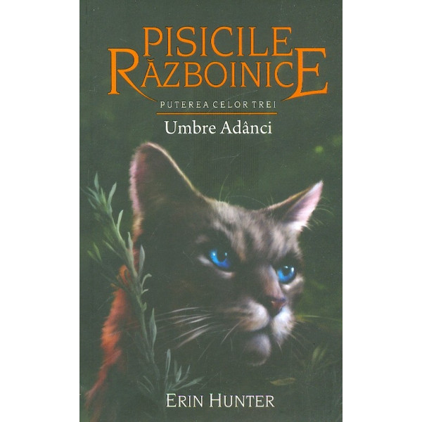 Pisicile razboinice, vol. XVII - Puterea celor trei. Umbre adanci