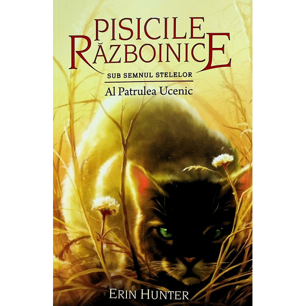 Pisicile razboinice, vol. XIX - Sub semnul stelelor. Al patrulea ucenic