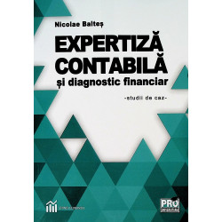 Expertiza contabila si...