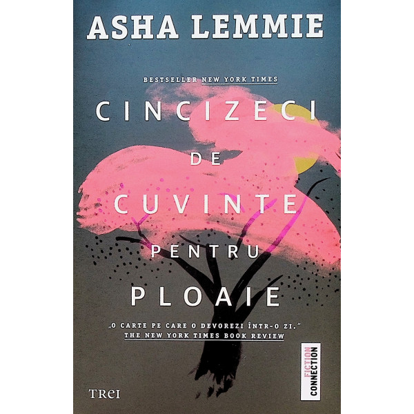 Cincizeci de cuvinte pentru ploaie