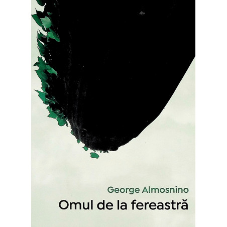 Omul de la fereastra