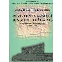 Rezistenta armata din...