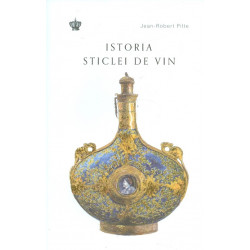 Istoria sticlei de vin