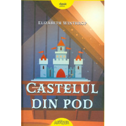 Castelul din pod