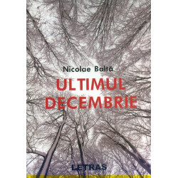 Ultimul decembrie