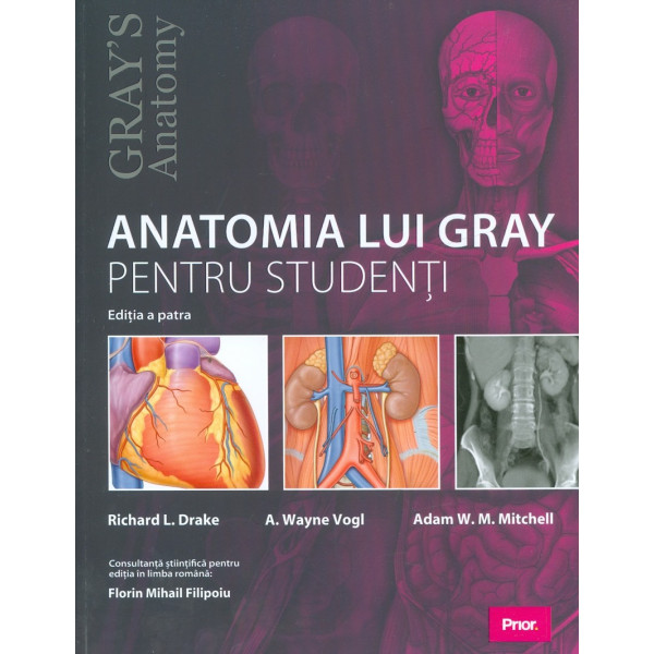 Anatomia lui Gray pentru studenti