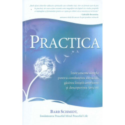 Practica. Instrumente...