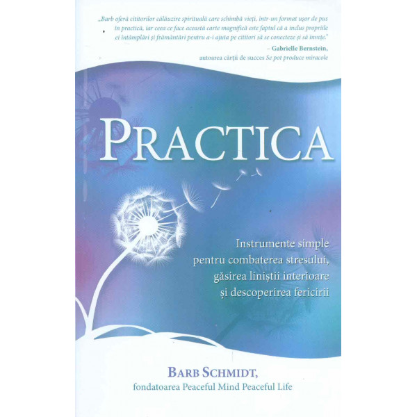 Practica. Instrumente simple pentru combaterea stresului, gasirea linistii interioare si descoperirea fericirii