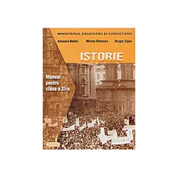Istorie, clasa a XI-a