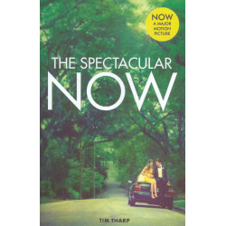 The Spectacular Now