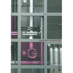Linia de productie. Lucrand...