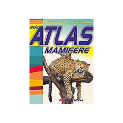 Mic atlas mamifere
