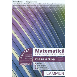 Matematica, clasa a XI-a,...