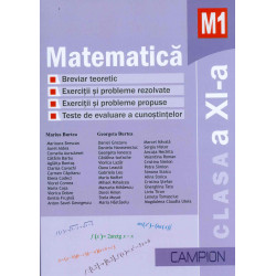 Matematica M1, clasa a XI-a: breviar teoretic, exercitii si probleme rezolvate, exercitii si probleme propuse, teste de evaluare