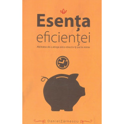 Esenta eficientei....
