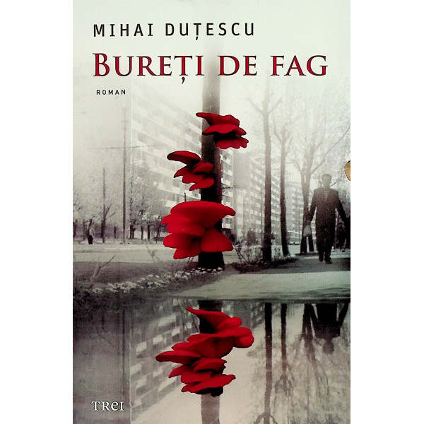 Bureti de fag