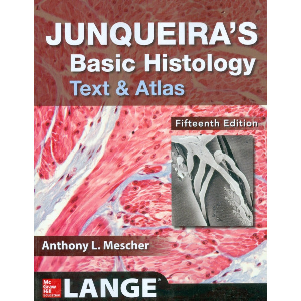 Junqueiras Basic Histology. Text and Atlas