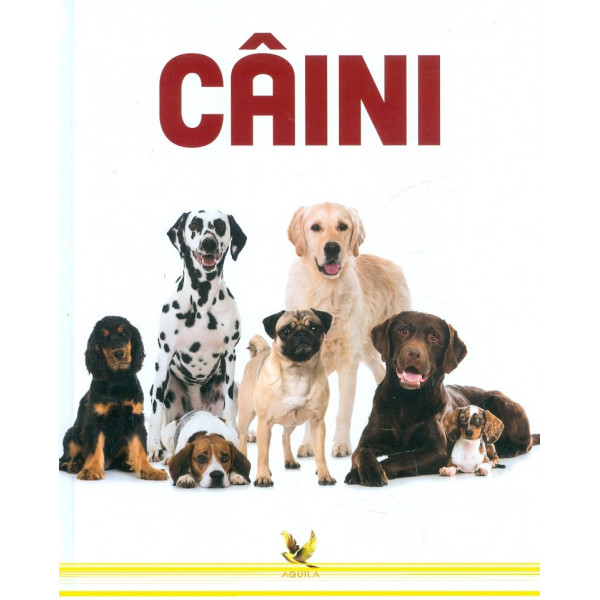 Caini