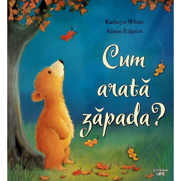 Cum arata zapada?
