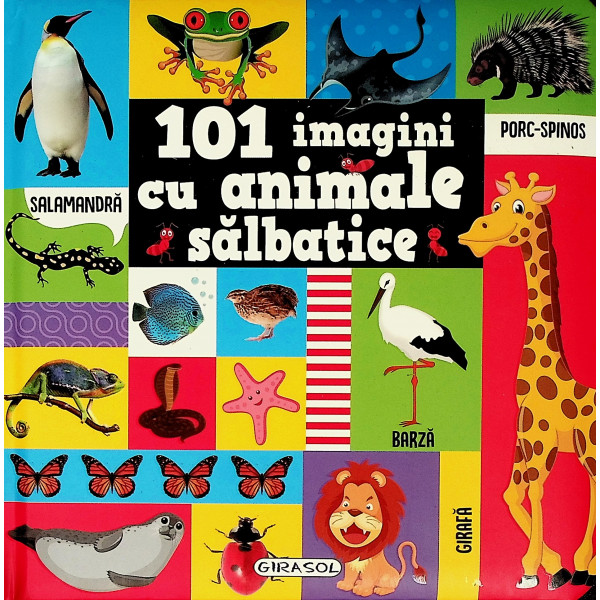 101imagini cu animale salbatice