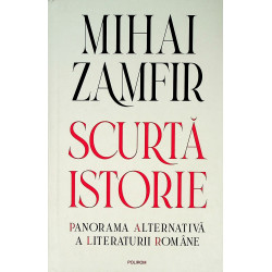 Scurta istorie. Panorama...