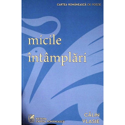 Micile intamplari