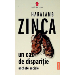 Un caz de disparitie. Anchete sociale