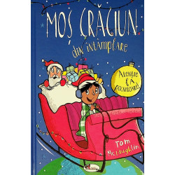 Mos Craciun din intamplare