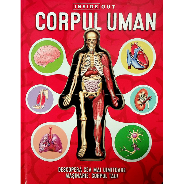 Corpul uman