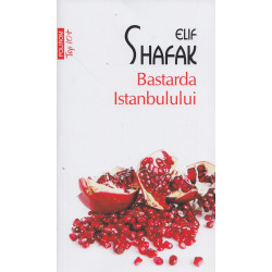 Bastarda Istanbulului