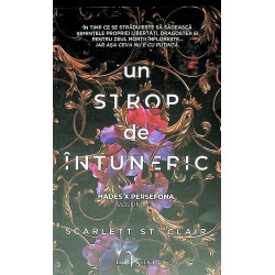 Un strop de intuneric, vol. I