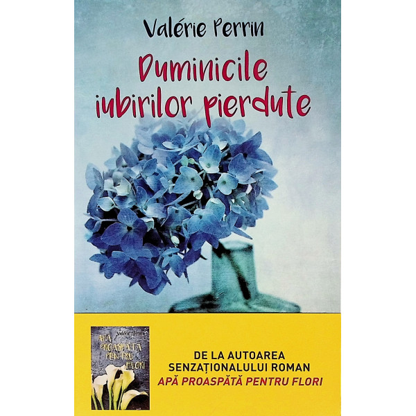 Duminicile iubirilor pierdute